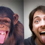 Чем отличается человек от обезьяны