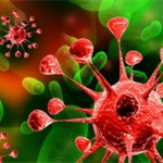 Чем отличается вирус от бактерии и что у них общего