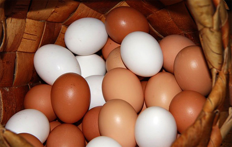 Красные и коричневые яйца