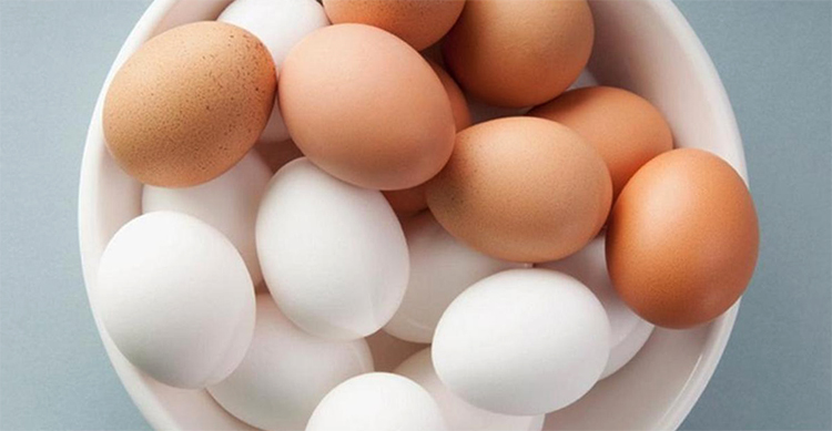 Разные виды яиц