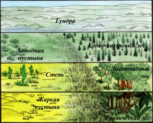 Природная экосистема