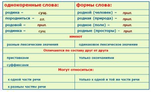 Чем заимствования слова компьютер отличается от заимствования слова мышь