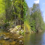 Чем отличается ручей от реки — основные отличия