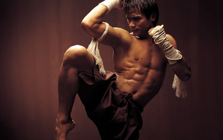 Тайский боксер
