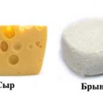 Сыр и брынза —  чем отличаются эти продукты?