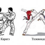 Чем карате отличается от тхэквондо — сравнение боевых искусств