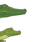 Чем отличается кайман от крокодила: особенности и отличия