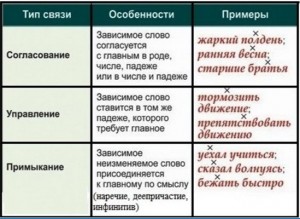 Действую по образцу монарх царь установите слово или словосочетание связанное по смыслу