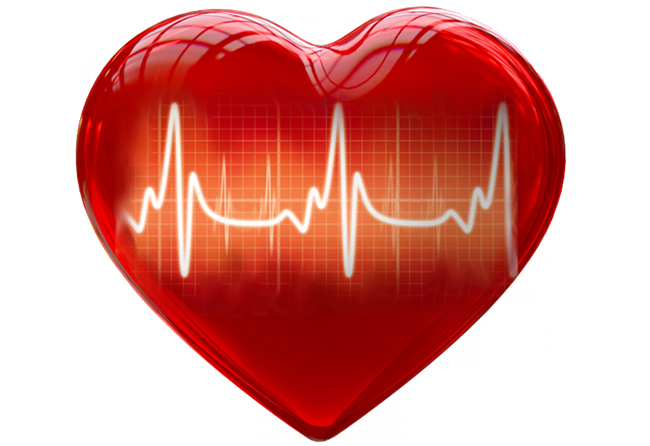 Частота сердечных сокращений
