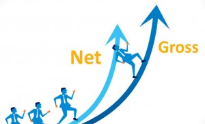 Gross и Net