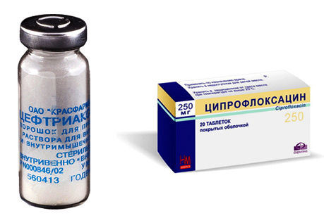 Цефтриаксон и Ципрофлоксацин